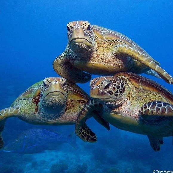 Meet your Posher, Keith - Picture 1 of 1